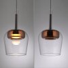 Q-Kon Suspension Luminaires Paul Neuhaus LED Brun, 1 lumière, Télécommandes