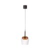 Q-Kon Suspension Luminaires Paul Neuhaus LED Brun, 1 lumière, Télécommandes