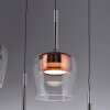Q-Kon Suspension Luminaires Paul Neuhaus LED Brun, 1 lumière, Télécommandes