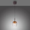 Q-Kon Suspension Luminaires Paul Neuhaus LED Brun, 1 lumière, Télécommandes