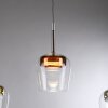 Q-Kon Suspension Luminaires Paul Neuhaus LED Brun, 1 lumière, Télécommandes