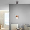 Q-Kon Suspension Luminaires Paul Neuhaus LED Brun, 1 lumière, Télécommandes