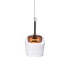 Q-Kon Suspension Luminaires Paul Neuhaus LED Brun, 1 lumière, Télécommandes