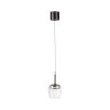 Q-Kon Suspension Luminaires Paul Neuhaus LED Brun, 1 lumière, Télécommandes