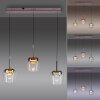Q-Kon Suspension Luminaires Paul Neuhaus LED Brun, 3 lumières, Télécommandes