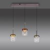Q-Kon Suspension Luminaires Paul Neuhaus LED Brun, 3 lumières, Télécommandes