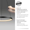 Hoop Suspension Luminaires Paul Neuhaus LED Noir, 1 lumière