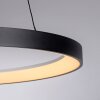 Hoop Suspension Luminaires Paul Neuhaus LED Noir, 1 lumière