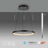 Hoop Suspension Luminaires Paul Neuhaus LED Noir, 1 lumière