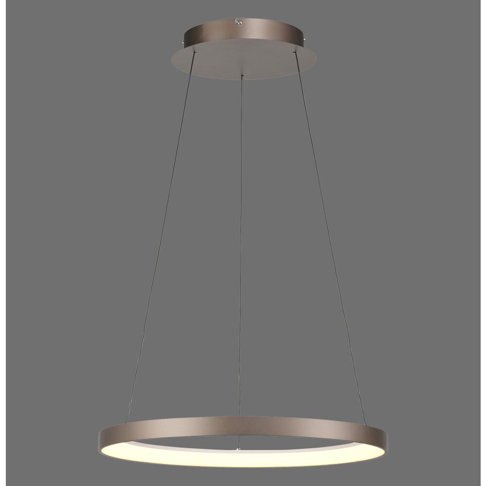 Hoop Suspension Luminaires Paul Neuhaus LED Brun, 1 lumière main product photo