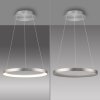 Hoop Suspension Luminaires Paul Neuhaus LED Argenté, 1 lumière