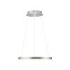 Hoop Suspension Luminaires Paul Neuhaus LED Argenté, 1 lumière
