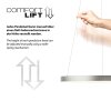 Hoop Suspension Luminaires Paul Neuhaus LED Argenté, 1 lumière