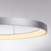 Hoop Suspension Luminaires Paul Neuhaus LED Argenté, 1 lumière