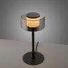 Rika Lampe à poser Luminaires Paul Neuhaus LED Noir, 1 lumière