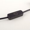 Rika Lampe à poser Luminaires Paul Neuhaus LED Noir, 1 lumière