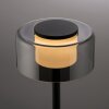 Rika Lampe à poser Luminaires Paul Neuhaus LED Noir, 1 lumière