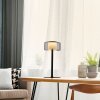 Rika Lampe à poser Luminaires Paul Neuhaus LED Noir, 1 lumière