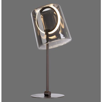 Zula Lampe à poser Luminaires Paul Neuhaus LED Noir, 1 lumière