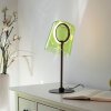 Zula Lampe à poser Luminaires Paul Neuhaus LED Noir, 1 lumière