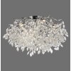 Ricicle Plafonnier Luminaires Paul Neuhaus LED Argenté, 10 lumières
