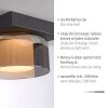 Rika Plafonnier Luminaires Paul Neuhaus LED Noir, 1 lumière