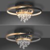 Rotazo Plafonnier Luminaires Paul Neuhaus LED Or, Noir, 1 lumière