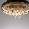 Rotazo Plafonnier Luminaires Paul Neuhaus LED Or, Noir, 1 lumière