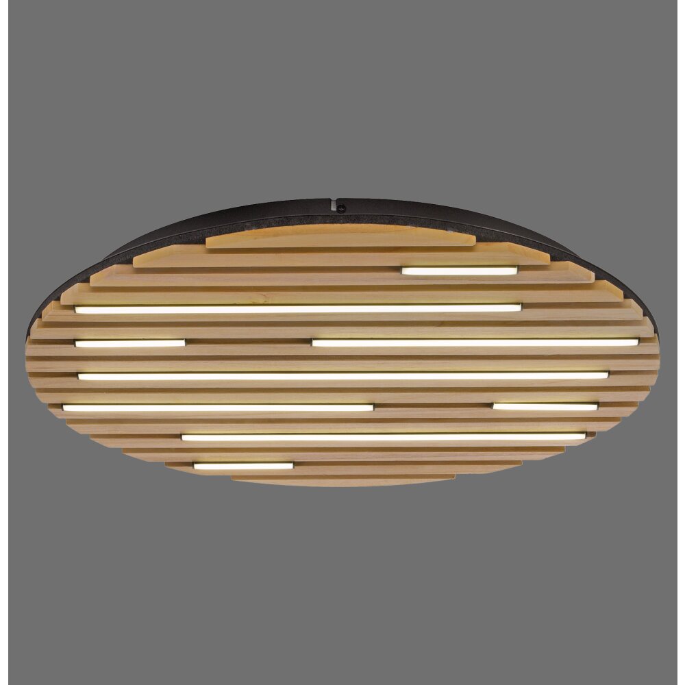 Q-Akustik Applique murale / Plafonnier Luminaires Paul Neuhaus LED Brun, Noir, 1 lumière, Télécommandes main product photo