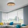 Q-Akustik Applique murale / Plafonnier Luminaires Paul Neuhaus LED Brun, Noir, 1 lumière, Télécommandes