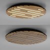 Q-Akustik Applique murale / Plafonnier Luminaires Paul Neuhaus LED Brun, Noir, 1 lumière, Télécommandes