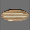 Q-Akustik Applique murale / Plafonnier Paul Neuhaus Q-Serie LED Brun, Noir, 1 lumière, Télécommandes