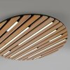 Q-Akustik Applique murale / Plafonnier Paul Neuhaus Q-Serie LED Brun, Noir, 1 lumière, Télécommandes