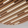 Q-Akustik Applique murale / Plafonnier Paul Neuhaus Q-Serie LED Brun, Noir, 1 lumière, Télécommandes