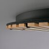 Q-Akustik Applique murale / Plafonnier Paul Neuhaus Q-Serie LED Brun, Noir, 1 lumière, Télécommandes