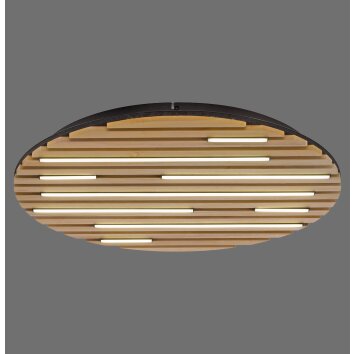 Q-Akustik Applique murale / Plafonnier Paul Neuhaus Q-Serie LED Brun, Noir, 1 lumière, Télécommandes