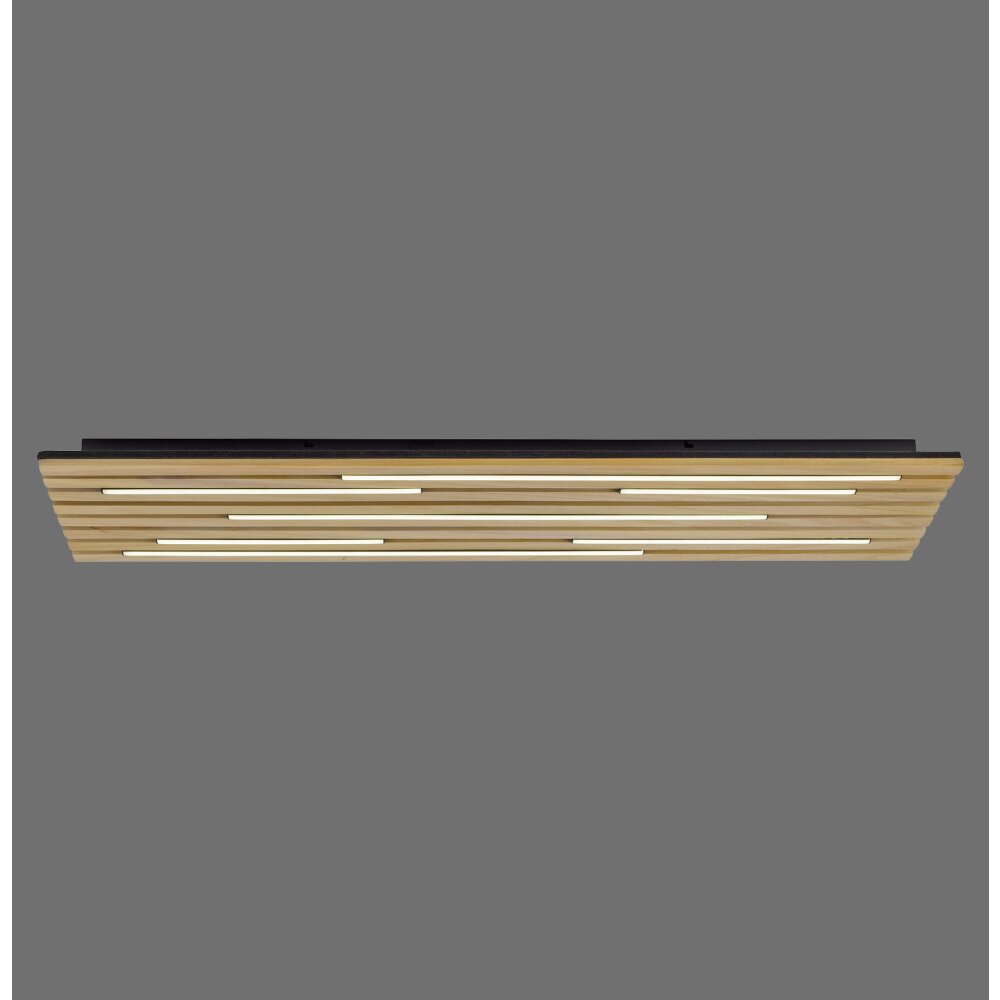 Q-Akustik Applique murale / Plafonnier Luminaires Paul Neuhaus LED Brun, Noir, 1 lumière, Télécommandes main product photo