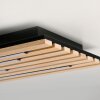 Q-Akustik Applique murale / Plafonnier Paul Neuhaus Q-Serie LED Brun, Noir, 1 lumière, Télécommandes