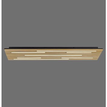 Q-Akustik Applique murale / Plafonnier Luminaires Paul Neuhaus LED Brun, Noir, 1 lumière, Télécommandes