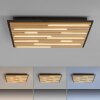 Q-Akustik Applique murale / Plafonnier Luminaires Paul Neuhaus LED Brun, Noir, 1 lumière, Télécommandes