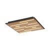 Q-Akustik Applique murale / Plafonnier Luminaires Paul Neuhaus LED Brun, Noir, 1 lumière, Télécommandes