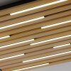 Q-Akustik Applique murale / Plafonnier Luminaires Paul Neuhaus LED Brun, Noir, 1 lumière, Télécommandes