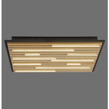 Q-Akustik Applique murale / Plafonnier Paul Neuhaus Q-Serie LED Brun, Noir, 1 lumière, Télécommandes