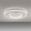 Q-Kalina Plafonnier Paul Neuhaus Q-Serie LED Blanc, 1 lumière, Télécommandes