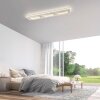 Q-Kalina Plafonnier Luminaires Paul Neuhaus LED Blanc, 1 lumière, Télécommandes