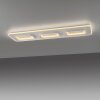 Q-Kalina Plafonnier Luminaires Paul Neuhaus LED Blanc, 1 lumière, Télécommandes