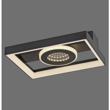 Traforo Plafonnier Luminaires Paul Neuhaus LED Noir, 1 lumière, Télécommandes