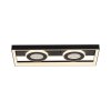 Traforo Plafonnier Luminaires Paul Neuhaus LED Noir, 1 lumière, Télécommandes