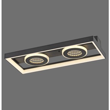 Traforo Plafonnier Luminaires Paul Neuhaus LED Noir, 1 lumière, Télécommandes