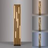 Q-Akustik Lampadaire Luminaires Paul Neuhaus LED Brun, Noir, 1 lumière, Télécommandes